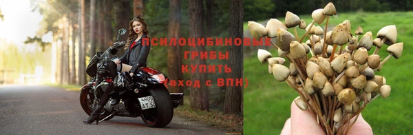 MDMA Premium VHQ Нея