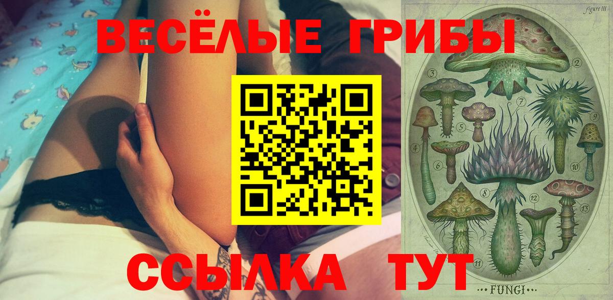 Псилоцибиновые грибы ЛСД Балаково