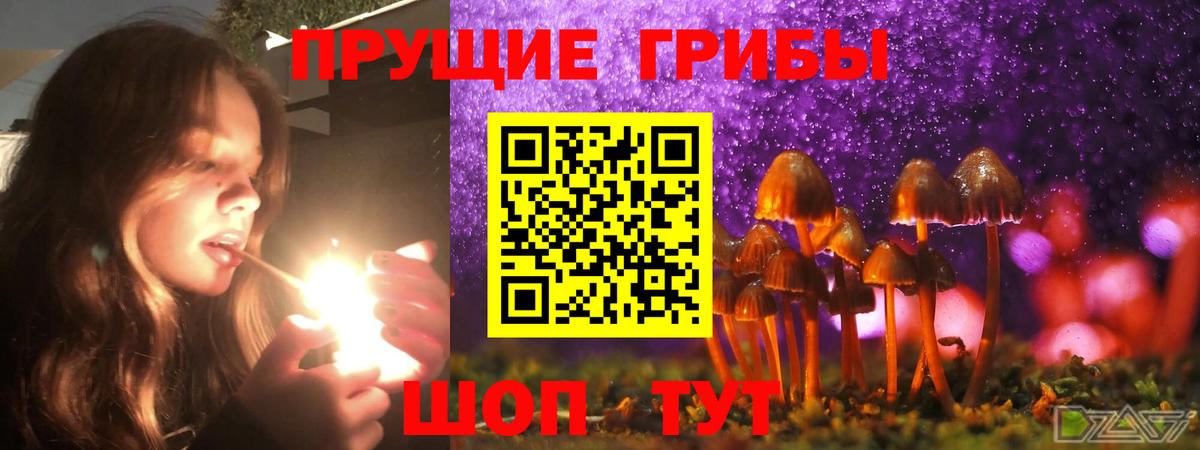 Псилоцибиновые грибы Psilocybine cubensis  продажа наркотиков  Балаково  Вход с VPN  Псилоцибиновые грибы Cubensis 